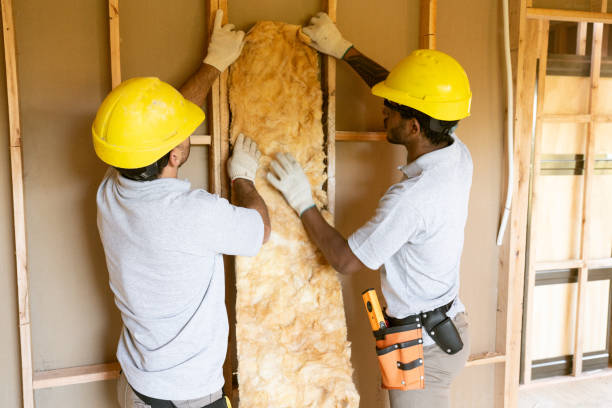 Insulation Repair Services in Fort Myers Shores, FL